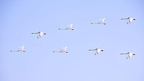 《完蛋我被美女包围》首个DLC今日发售 三大美女上线 